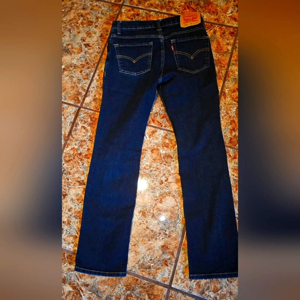 Big Boys 510 Skinny Denim Jean size 14 regular boys inseam 27"